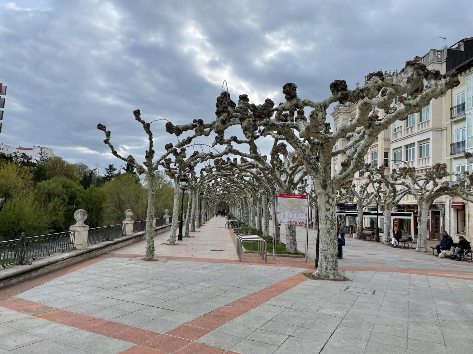 El Farolillo De La Catedral Vivienda De Uso Turistico Vut 9/251 Leilighet Burgo Eksteriør bilde
